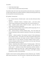 Elektroninis paštas. Veikimo principai. Protokolai. Virusai 16 puslapis