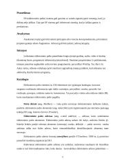Elektroninis paštas. Veikimo principai. Protokolai. Virusai 5 puslapis