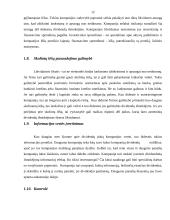 Dividendų politika įmonėje 12 puslapis