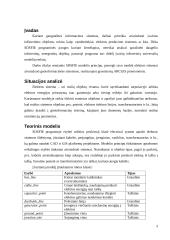 Elektros sistemos modelio realizavimas geoinformacinėje sistemoje 3 puslapis