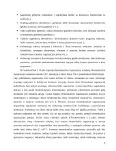 Finansų ministerijos specialistų mokymo centro veikla 8 puslapis