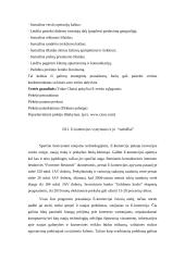 E-verslo atsiradimas 11 puslapis