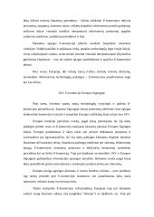 E-verslo atsiradimas 12 puslapis
