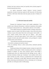 E-verslo atsiradimas 13 puslapis