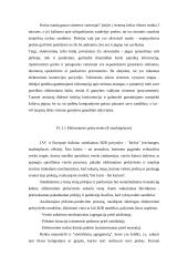 E-verslo atsiradimas 18 puslapis