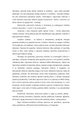 E-verslo atsiradimas 19 puslapis