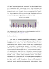 E-verslo atsiradimas 3 puslapis