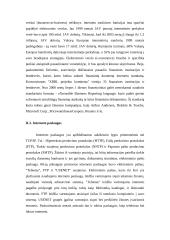 E-verslo atsiradimas 4 puslapis