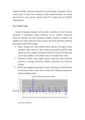 E-verslo atsiradimas 7 puslapis