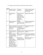 Gamybos valdymas: UAB "Pergalės koncernas" 17 puslapis