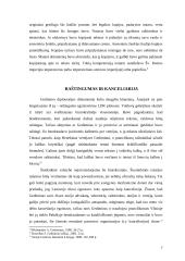 Gedimino laiškai 7 puslapis