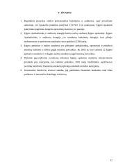 Egipto apskaitos sistema 12 puslapis
