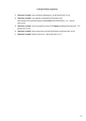 Egipto apskaitos sistema 13 puslapis