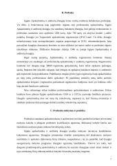 Egipto apskaitos sistema 7 puslapis