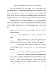 Egipto apskaitos sistema 9 puslapis