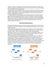 GPRS sistema 16 puslapis