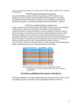 GPRS sistema 17 puslapis