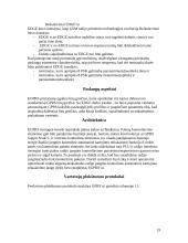 GPRS sistema 19 puslapis