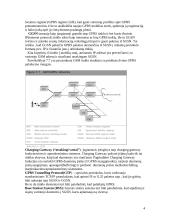 GPRS sistema 4 puslapis