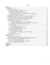 Ekonominė integracija ir tarptautinės ekonominės organizacijos 2 puslapis