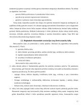 Ekonominė integracija ir tarptautinės ekonominės organizacijos 11 puslapis