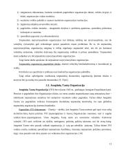 Ekonominė integracija ir tarptautinės ekonominės organizacijos 13 puslapis