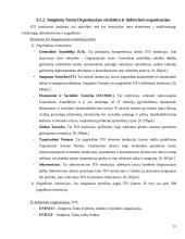 Ekonominė integracija ir tarptautinės ekonominės organizacijos 15 puslapis