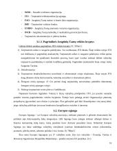 Ekonominė integracija ir tarptautinės ekonominės organizacijos 16 puslapis