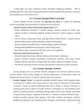 Ekonominė integracija ir tarptautinės ekonominės organizacijos 17 puslapis