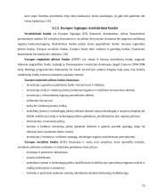 Ekonominė integracija ir tarptautinės ekonominės organizacijos 19 puslapis