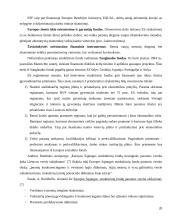 Ekonominė integracija ir tarptautinės ekonominės organizacijos 20 puslapis