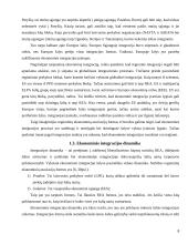 Ekonominė integracija ir tarptautinės ekonominės organizacijos 8 puslapis
