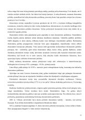 Ekonominės minties raida iki XX amžiaus 19 puslapis