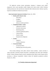 Eksportas Lietuvoje ir jo problemos 16 puslapis