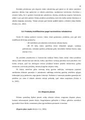 Eksportas Lietuvoje ir jo problemos 18 puslapis