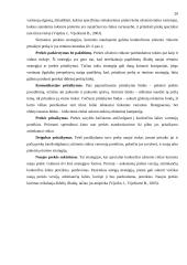 Eksportas Lietuvoje ir jo problemos 20 puslapis