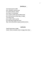 Eksportas Lietuvoje ir jo problemos 3 puslapis