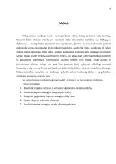 Eksportas Lietuvoje ir jo problemos 4 puslapis