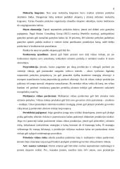 Eksportas Lietuvoje ir jo problemos 8 puslapis