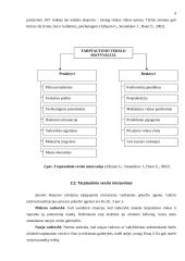 Eksportas Lietuvoje ir jo problemos 9 puslapis