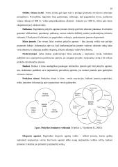 Eksportas Lietuvoje ir jo problemos 10 puslapis