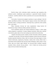 Inovacijos ir naujovės paslaugų gamyboje ir teikime 2 puslapis