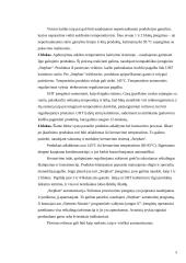 Įrengimai: lydymo katilas 5 puslapis