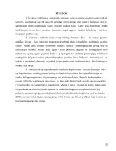 Joninių tradicijos ir inovacijos 20 puslapis