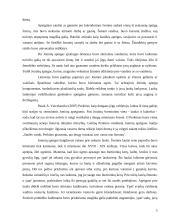 Joninių tradicijos ir inovacijos 5 puslapis