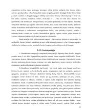 Joninių tradicijos ir inovacijos 10 puslapis