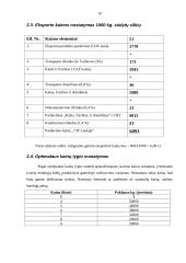 Kainodaros organizavimas: UAB "Norvelita" 17 puslapis