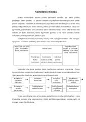Kainodaros organizavimas: UAB "Norvelita" 9 puslapis