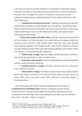 Kainodaros organizavimas: UAB "Vikeda" 11 puslapis