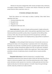 Kainodaros organizavimas: UAB "Vikeda" 12 puslapis